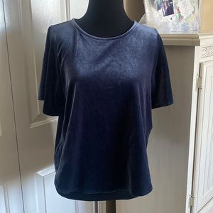 Madewell Velvet Blouse